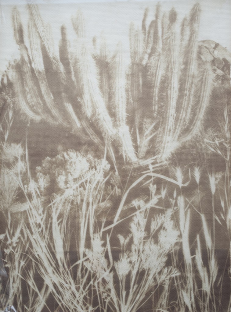 C0001-Enrique-Zamudio-Sin-titulo-Fotoserigrafia-68-x-51-cm-$350